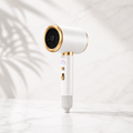 AeroFlow™ Icon | High-Speed Ionic Hair Dryer with Concentrator